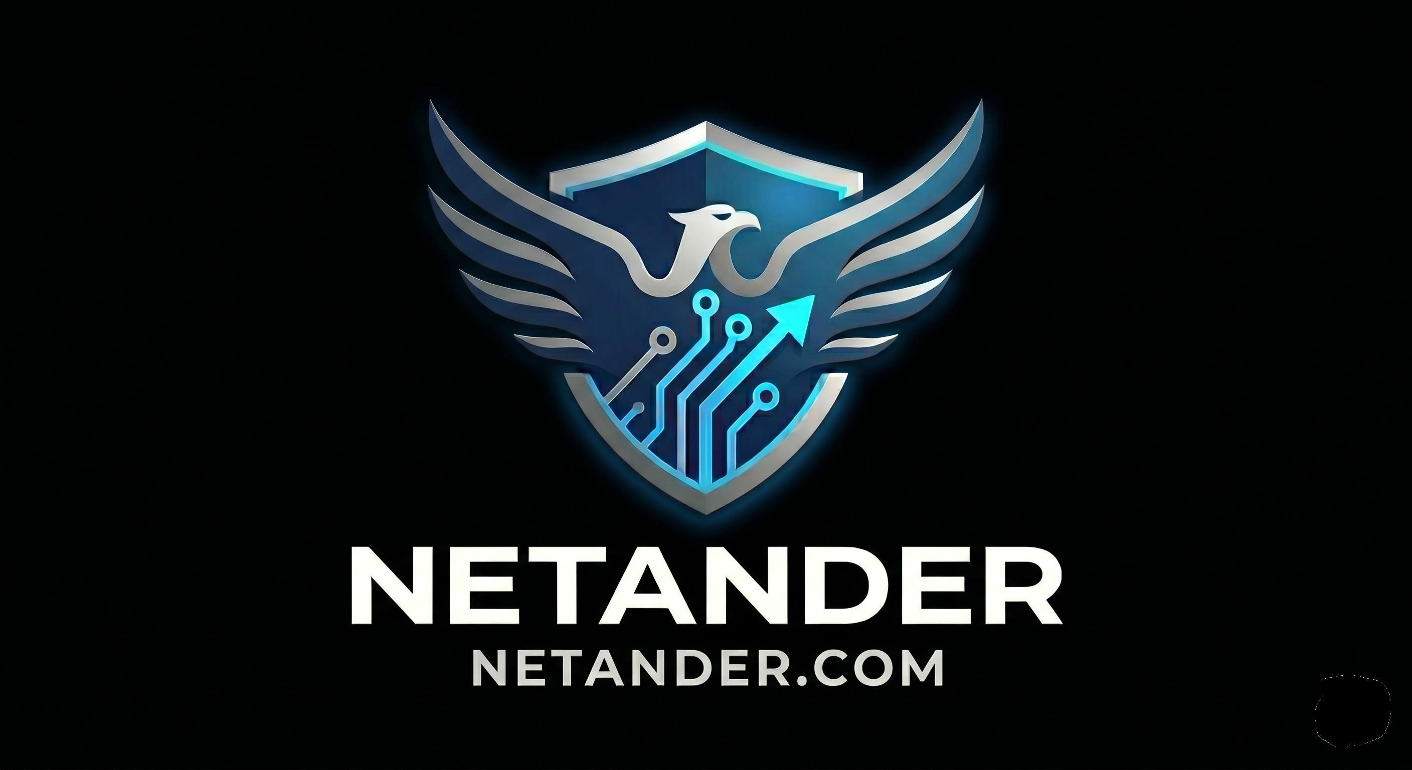 NETANDER Logo